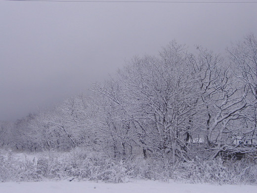 23477 (a): :1280x960